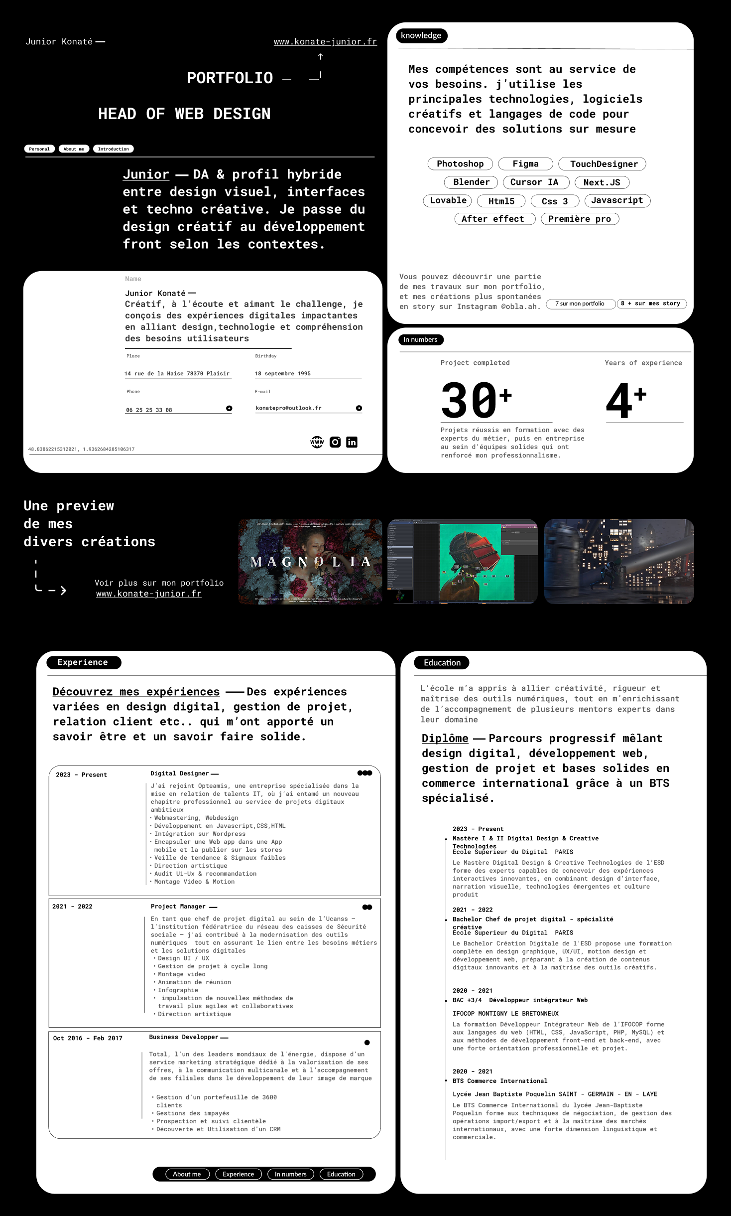 CV de Junior Konate